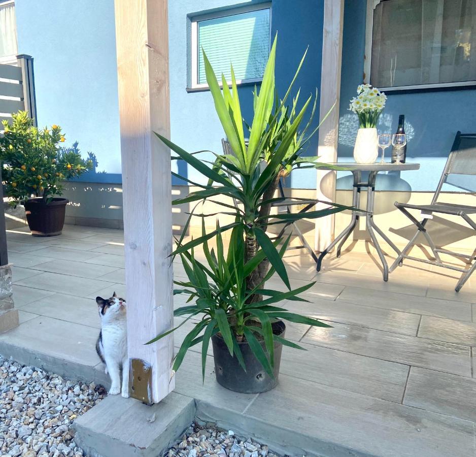 Apartmán Kisvakond Vendeghaz Jeno Exteriér fotografie